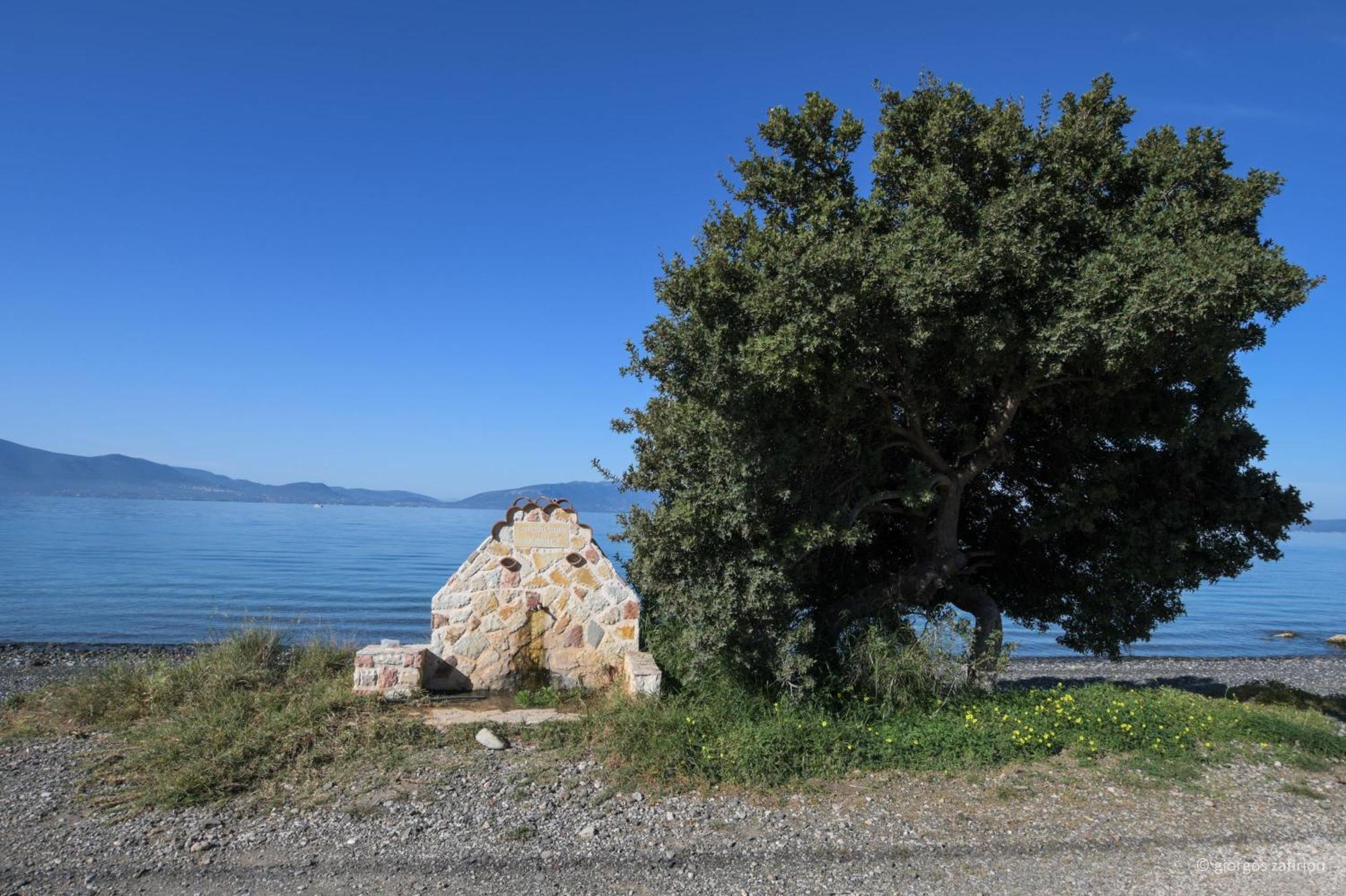 Nerotrivia Villa - Ocean Panorama And Lush Gardens Extérieur photo
