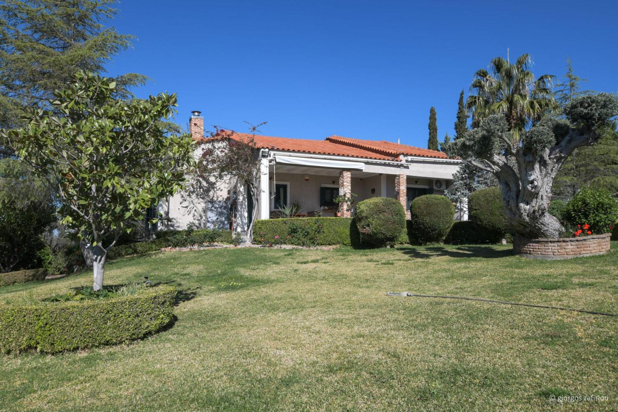 Nerotrivia Villa - Ocean Panorama And Lush Gardens Extérieur photo
